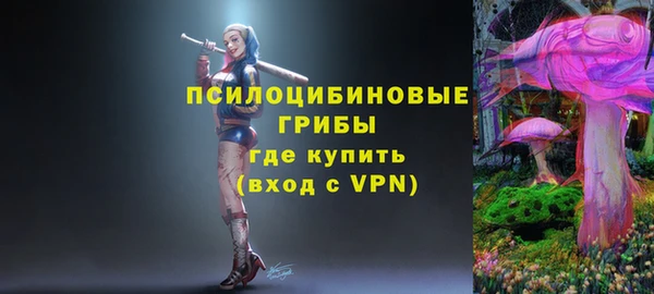 а пвп мука Тайга