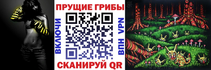 Галлюциногенные грибы GOLDEN TEACHER  Купить закладки  Судак 